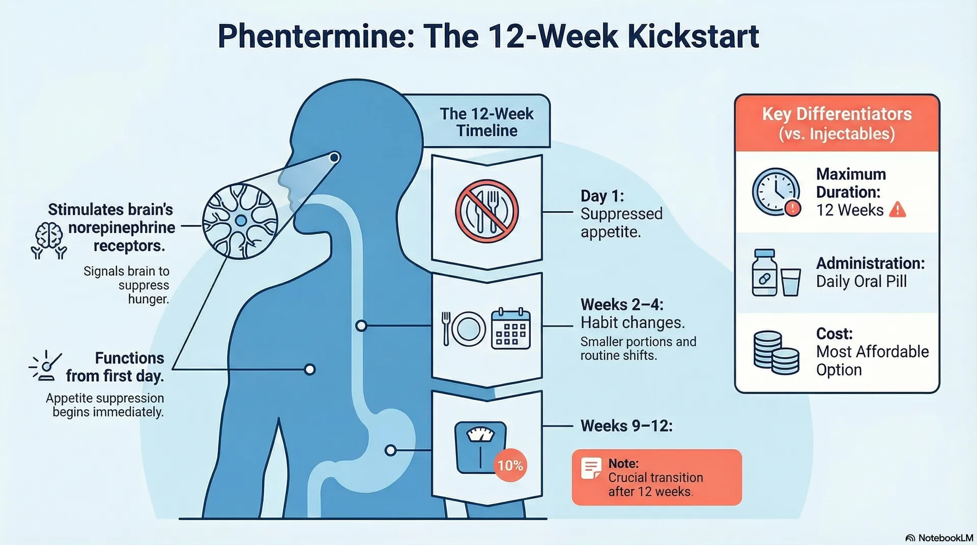 Phentermine mechanism of action infographic