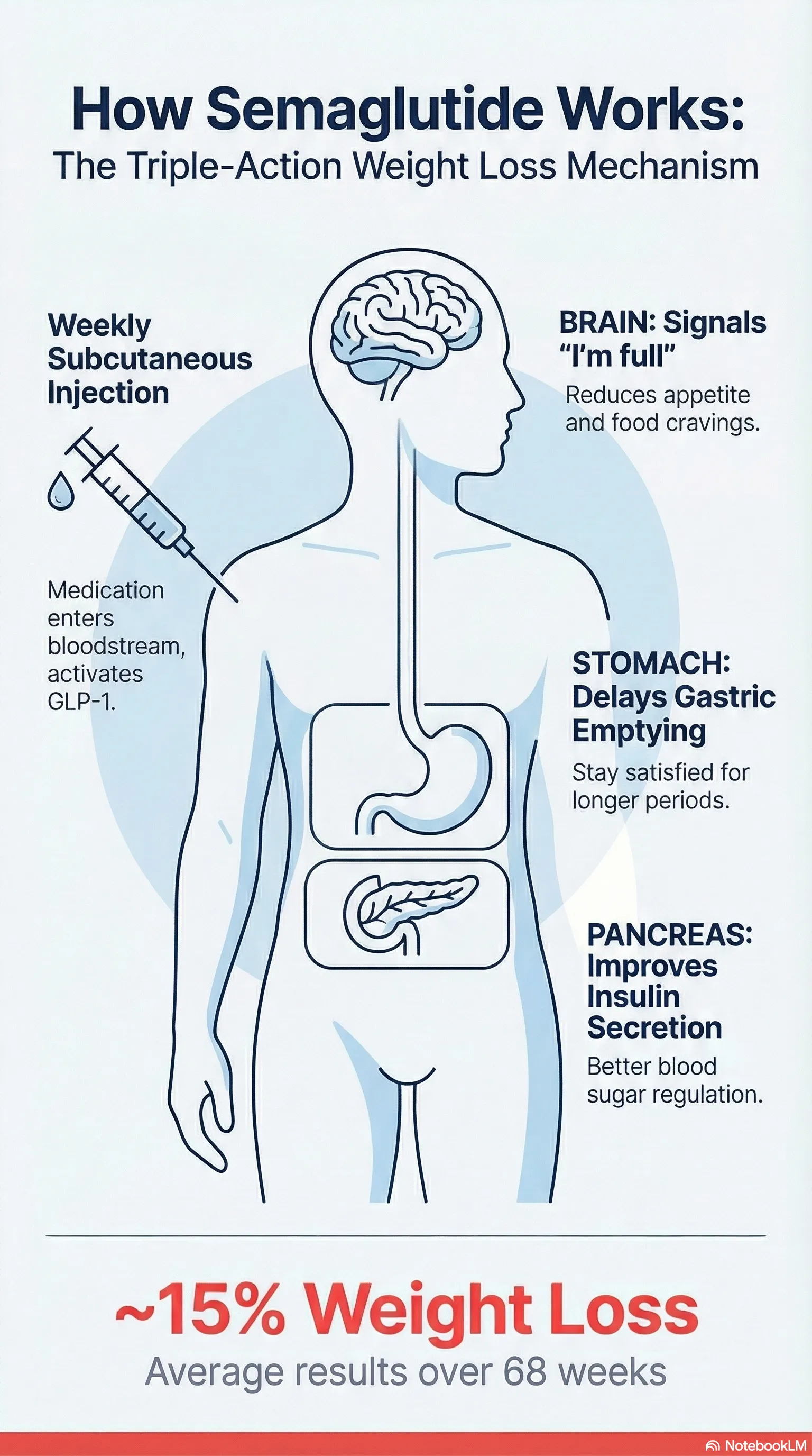 Semaglutide mechanism of action infographic